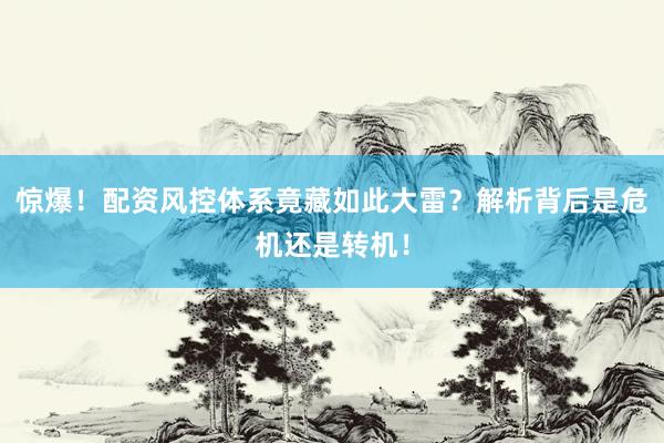 惊爆！配资风控体系竟藏如此大雷？解析背后是危机还是转机！